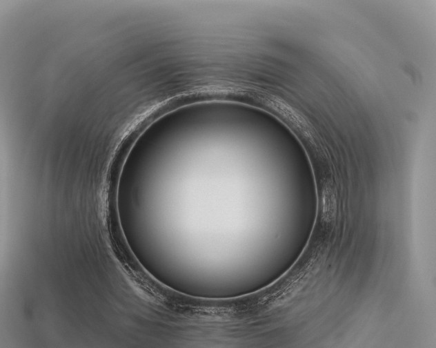 X0000113220436200909171558