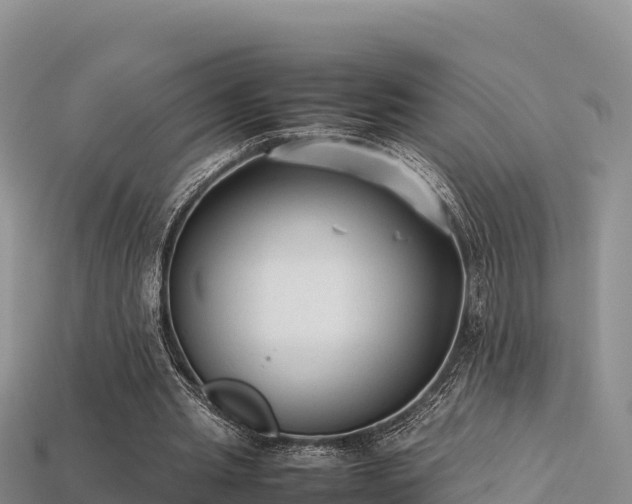 X0000113220437200909171558