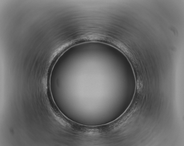 X0000113220438200909171558