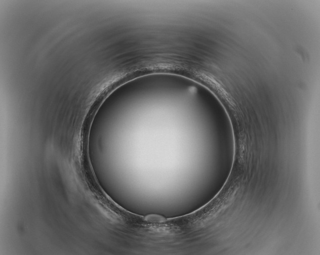 X0000113220439200909171558