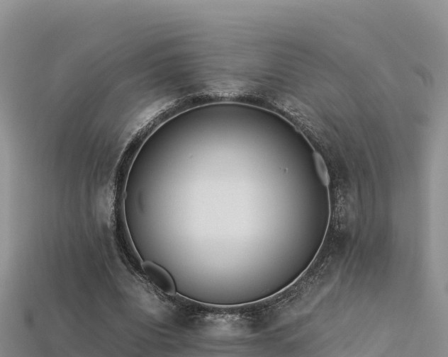 X0000113220440200909171558