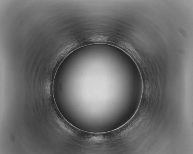 X0000113220441200909171558