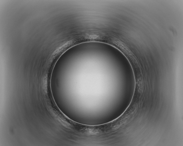 X0000113220442200909171558