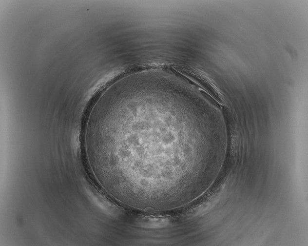 X0000113220443200909171558