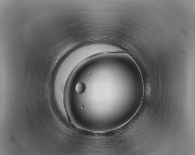 X0000113220444200909171558