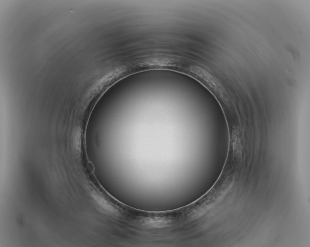 X0000113220445200909171558