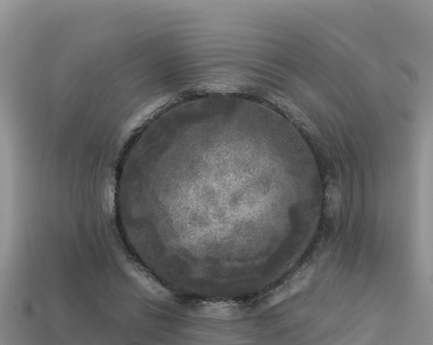 X0000113220446200909171558