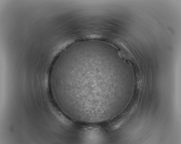 X0000113220447200909171558