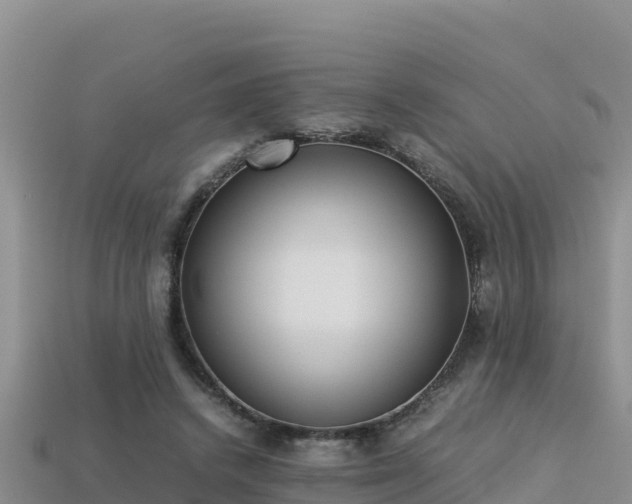 X0000113220448200909171558