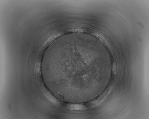 X0000113220449200909171558