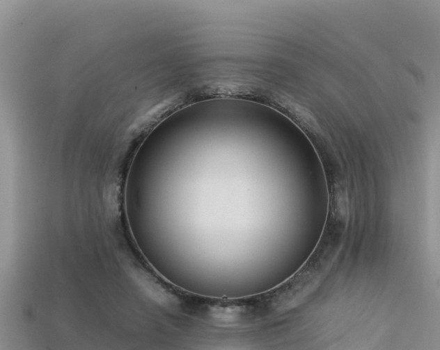 X0000113220450200909171558