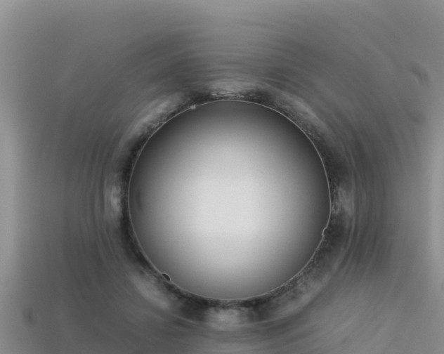 X0000113220452200909171558