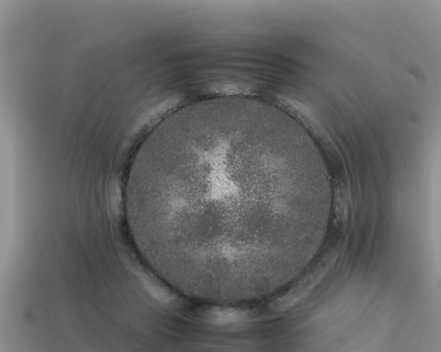 X0000113220453200909171558