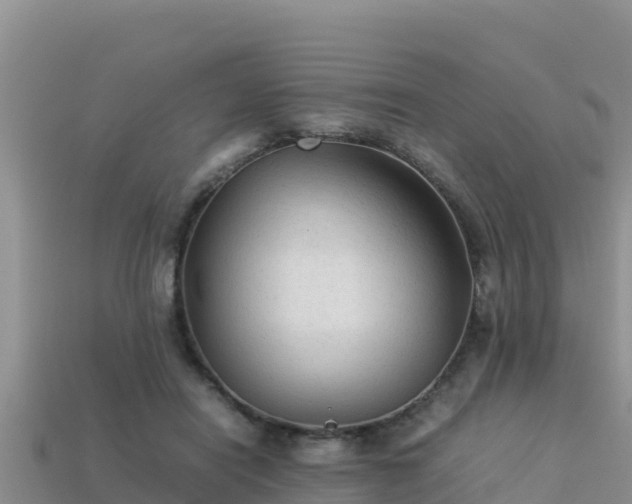 X0000113220454200909171558