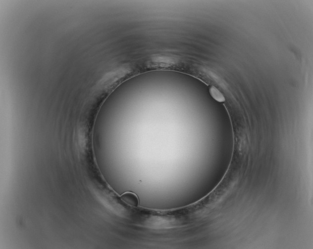 X0000113220455200909171558