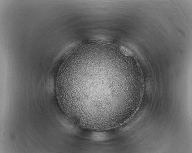 X0000113220457200909171558