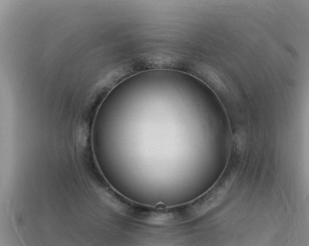 X0000113220458200909171558