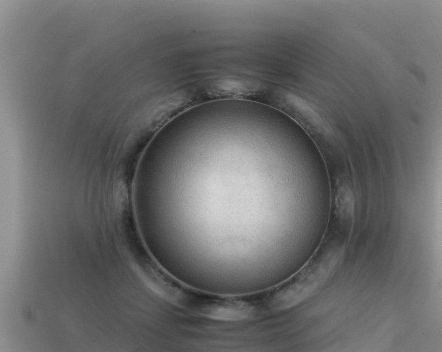 X0000113220459200909171558