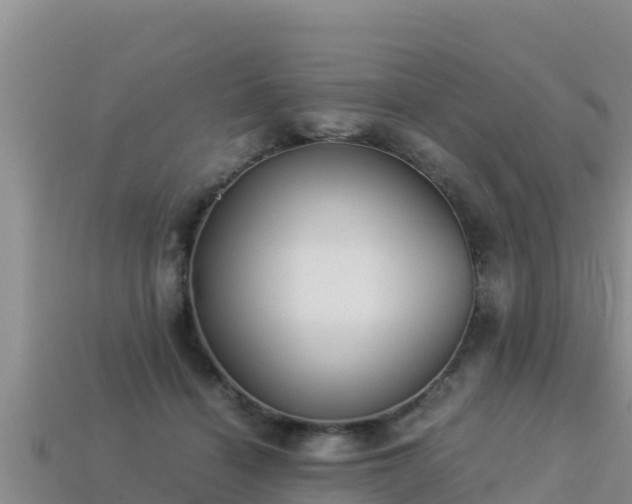 X0000113220460200909171558