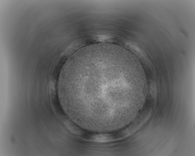 X0000113220461200909171558