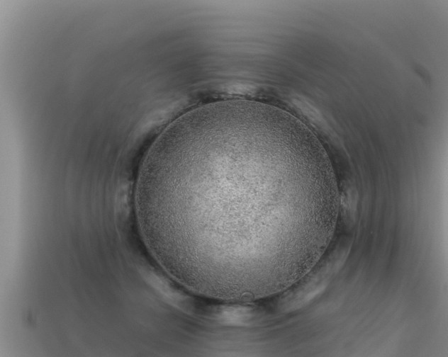 X0000113220462200909171558