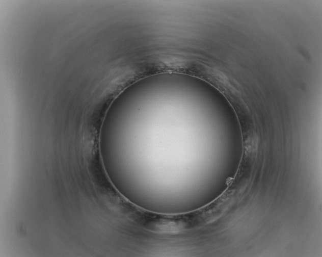 X0000113220464200909171558