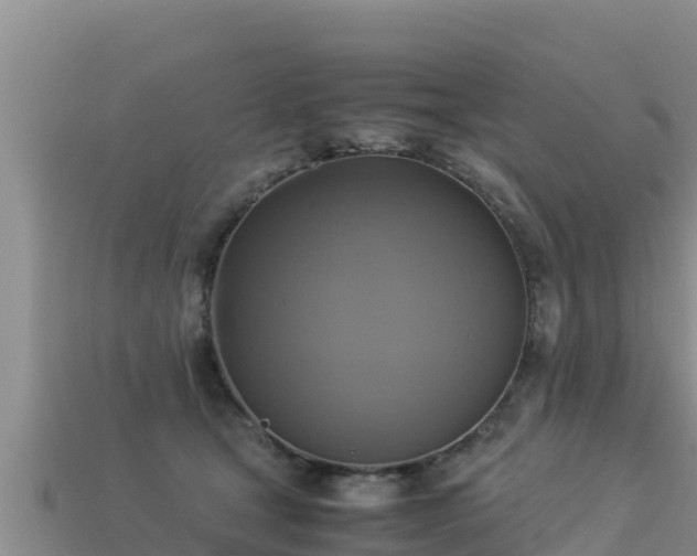 X0000113220465200909171558