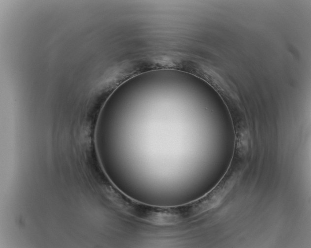 X0000113220466200909171558