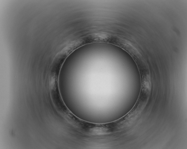 X0000113220468200909171558