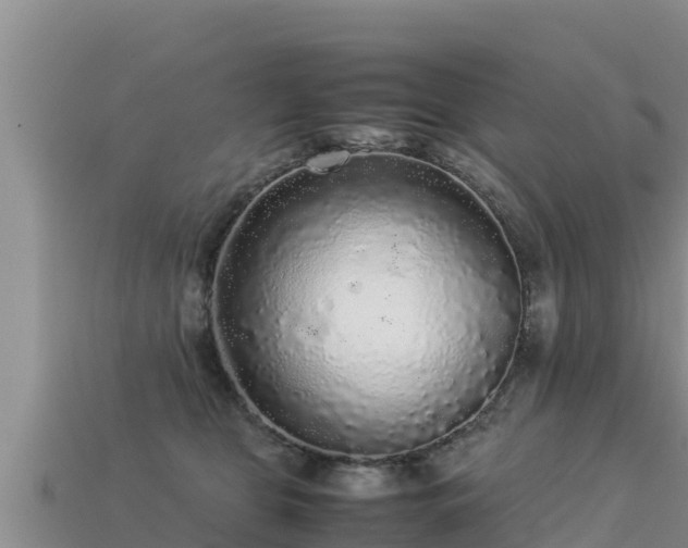 X0000113220469200909171558