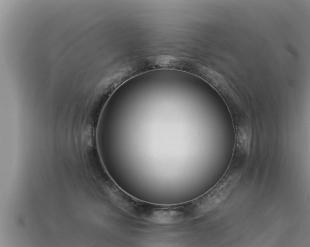 X0000113220470200909171558