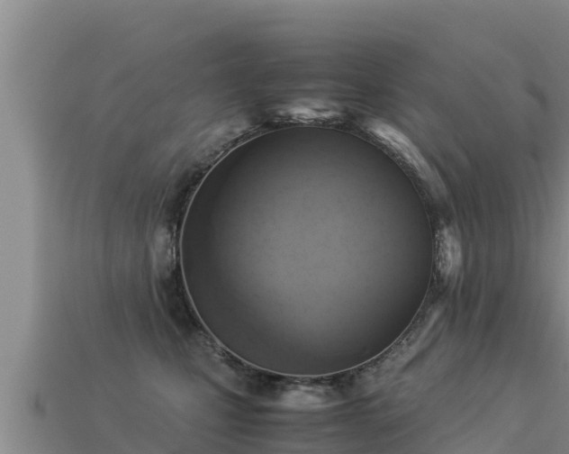 X0000113220471200909171558