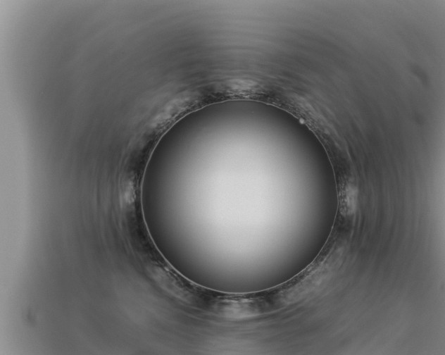 X0000113220472200909171558