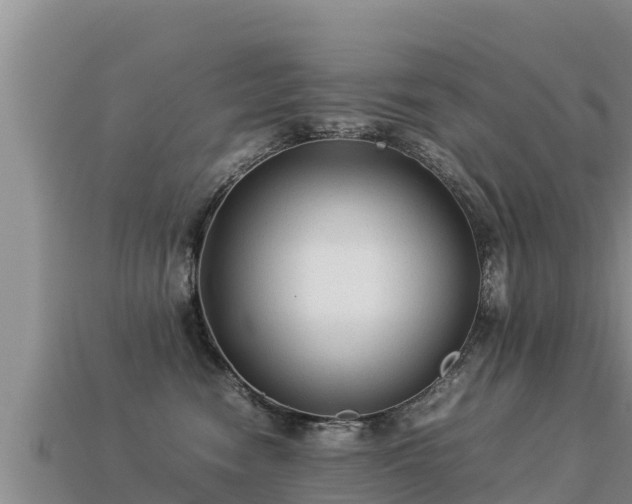 X0000113220474200909171558