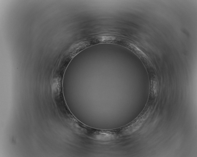 X0000113220475200909171558