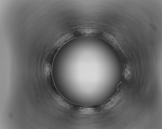 X0000113220476200909171558