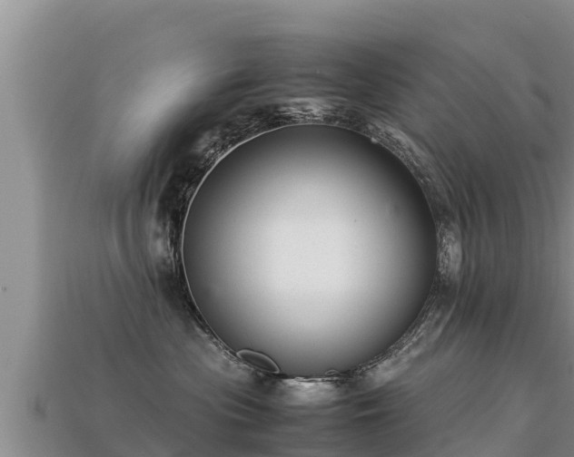 X0000113220477200909171558