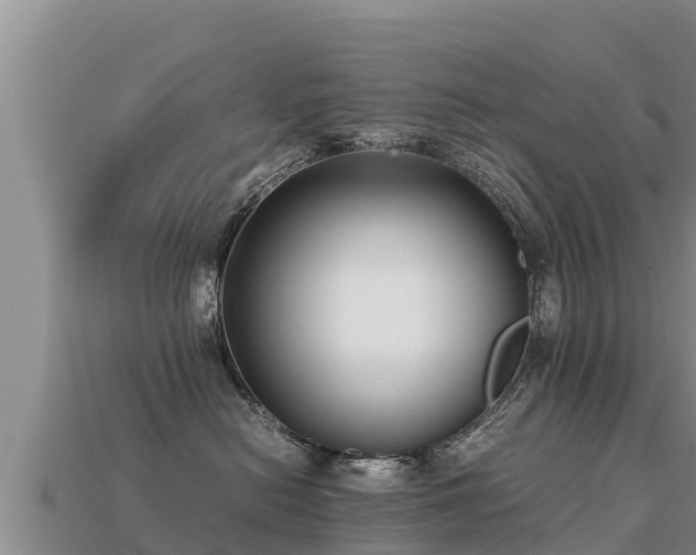 X0000113220478200909171558