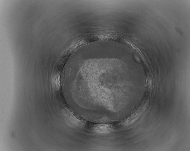 X0000113220479200909171558