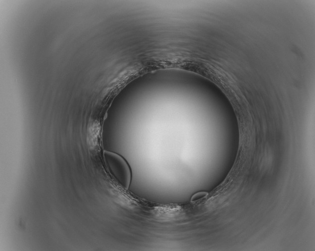 X0000113220480200909171559