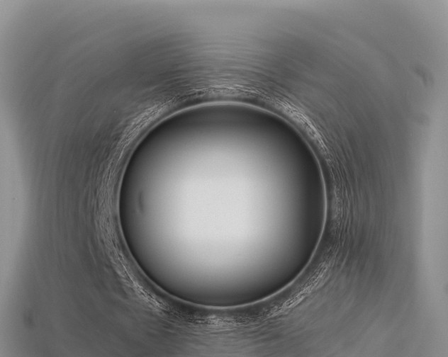 X0000113220481200909171558