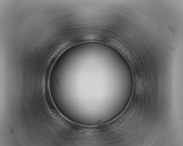 X0000113220482200909171558