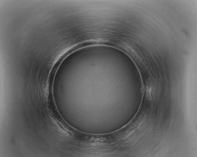 X0000113220484200909171558