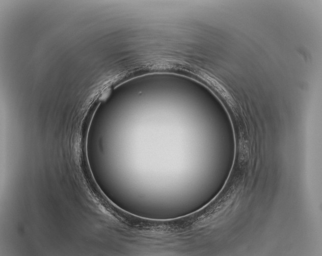 X0000113220485200909171558