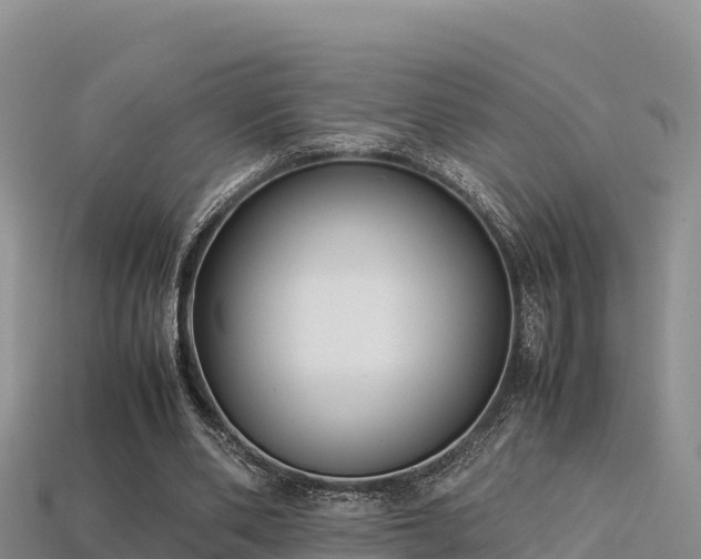 X0000113220486200909171558