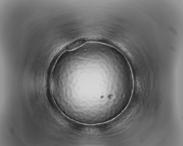 X0000113220487200909171558