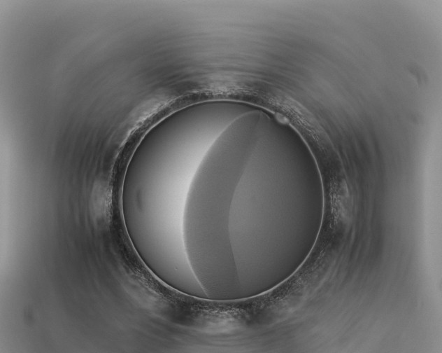 X0000113220488200909171558