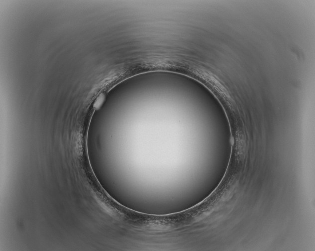 X0000113220489200909171558