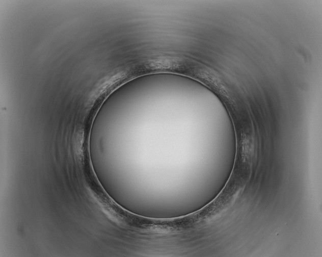 X0000113220490200909171558