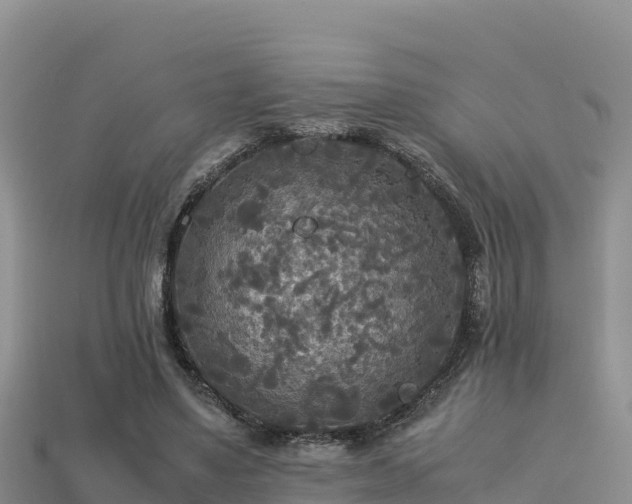 X0000113220491200909171558